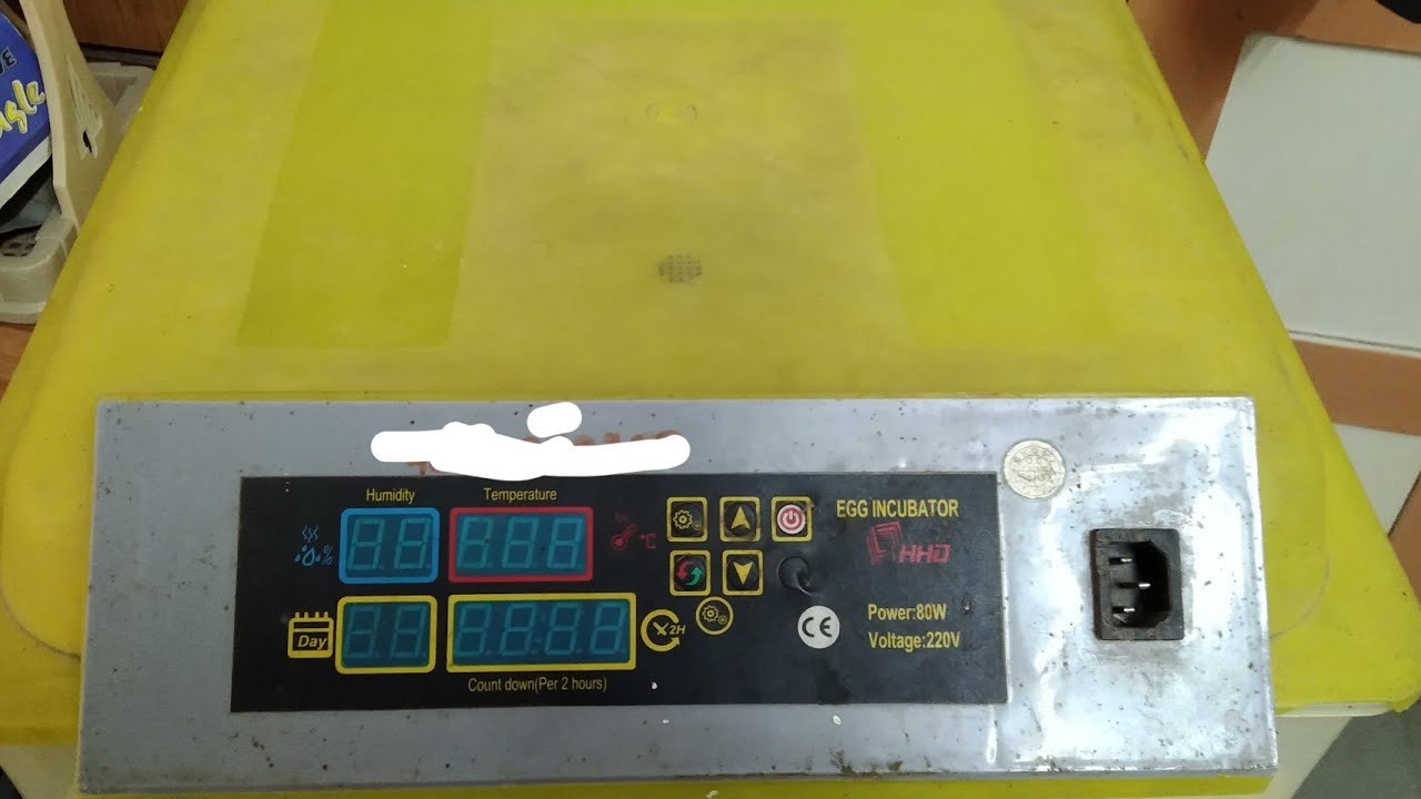 Egg Hatching 🐣🐣 Machine Repair//Heating problem