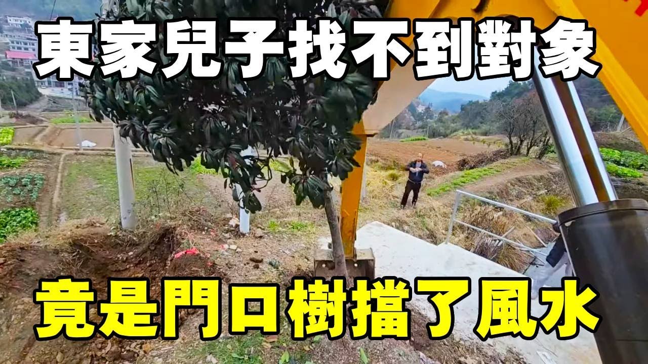 東家兒子找不著對象！我瞅著是樹擋了風水，這說法有點玄乎【陳師傅開挖機】