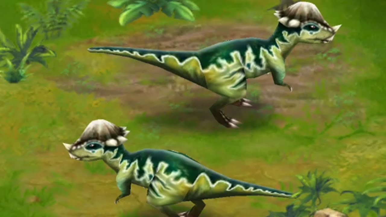 Jurassic Park Builder - Pachycephalosaurus [Jurassic Park]