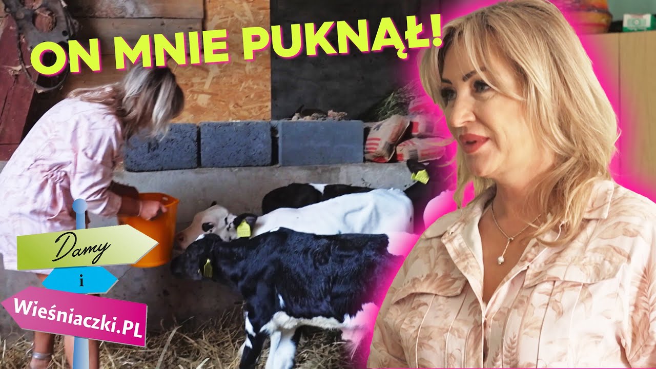 ZASPAŁA NA KARMIENIE CIELKAÓW! | Damy i Wieśniaczki