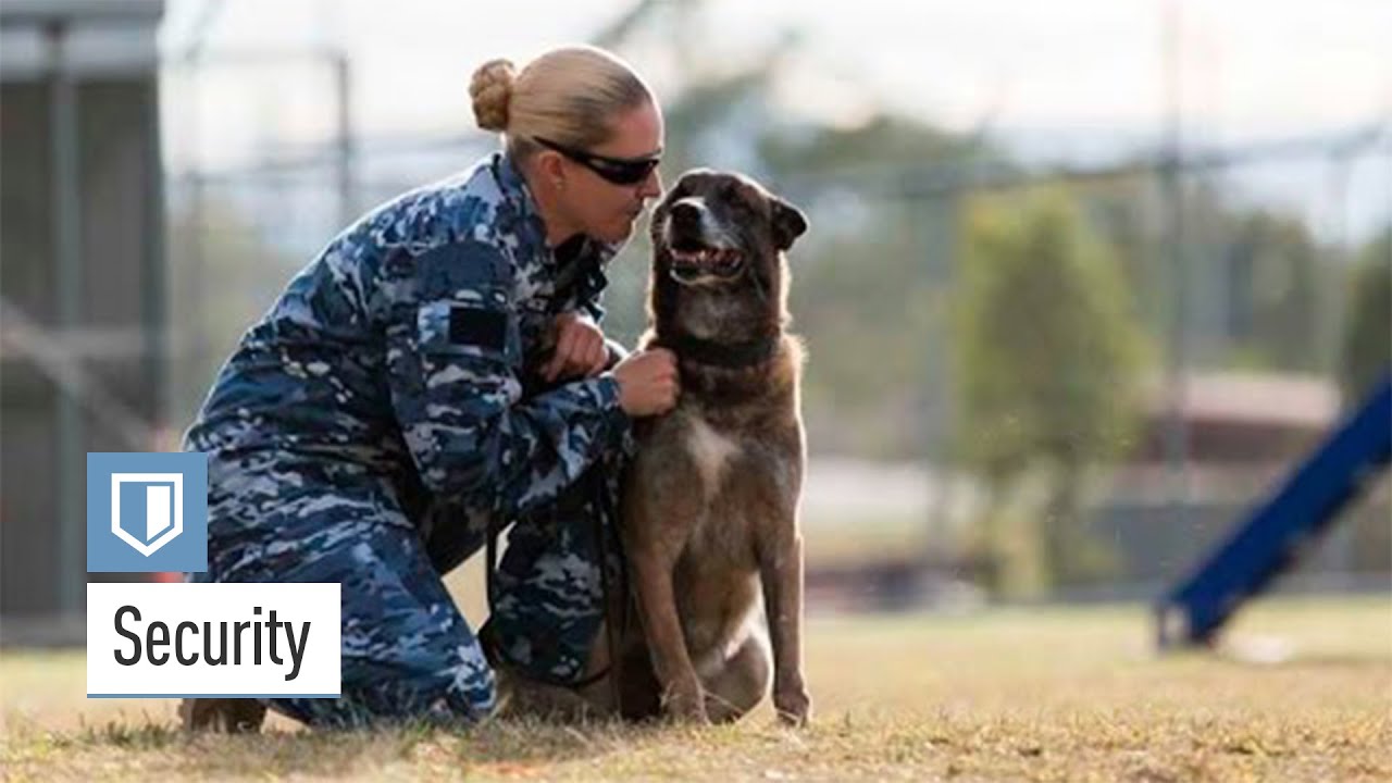 Air Force Security: Jill