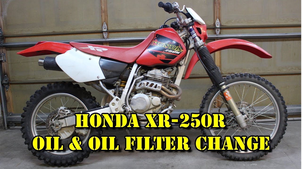 Honda XR 250R  - Oil & Oil Filter Change/ Maintenance - 1998 1999 2000 2001 2002 2003 2004