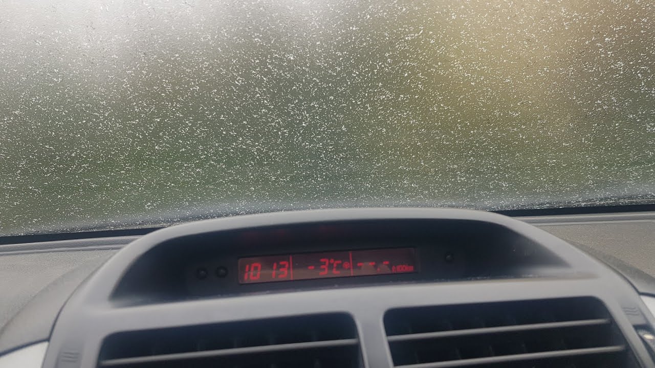 KURAK KIŞ VE HALÂ UÇAN ARILAR!