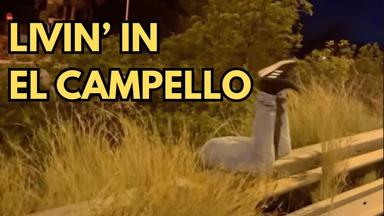 Livin' in Campello, problemas en Coveta Fuma