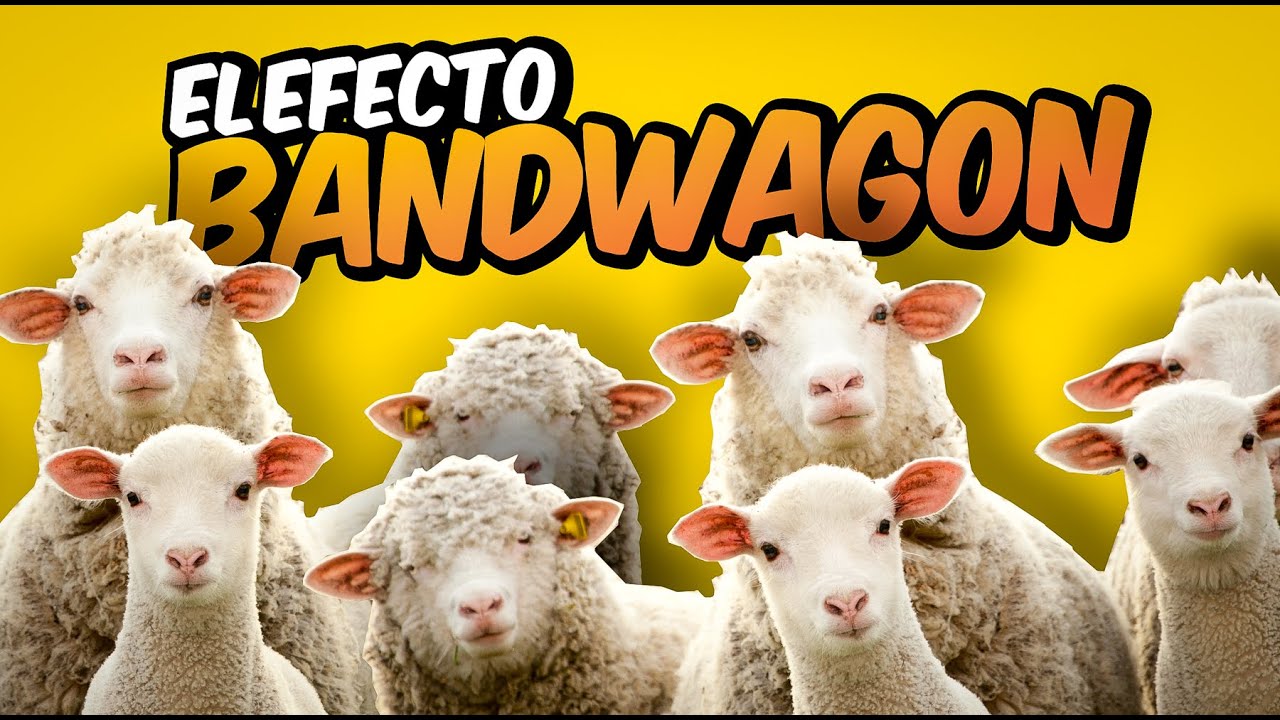 El efecto Bandwagon: ¿Por qué la gente se sube al carro ganador?