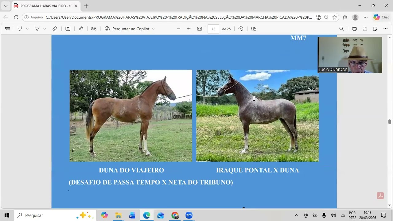 Programa Haras Viajeiro - Tradição na Seleção da Marcha Picada na Raça Mangalarga Marchador