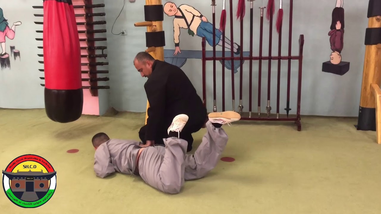 sefu bwrhan shaolin classic 2019