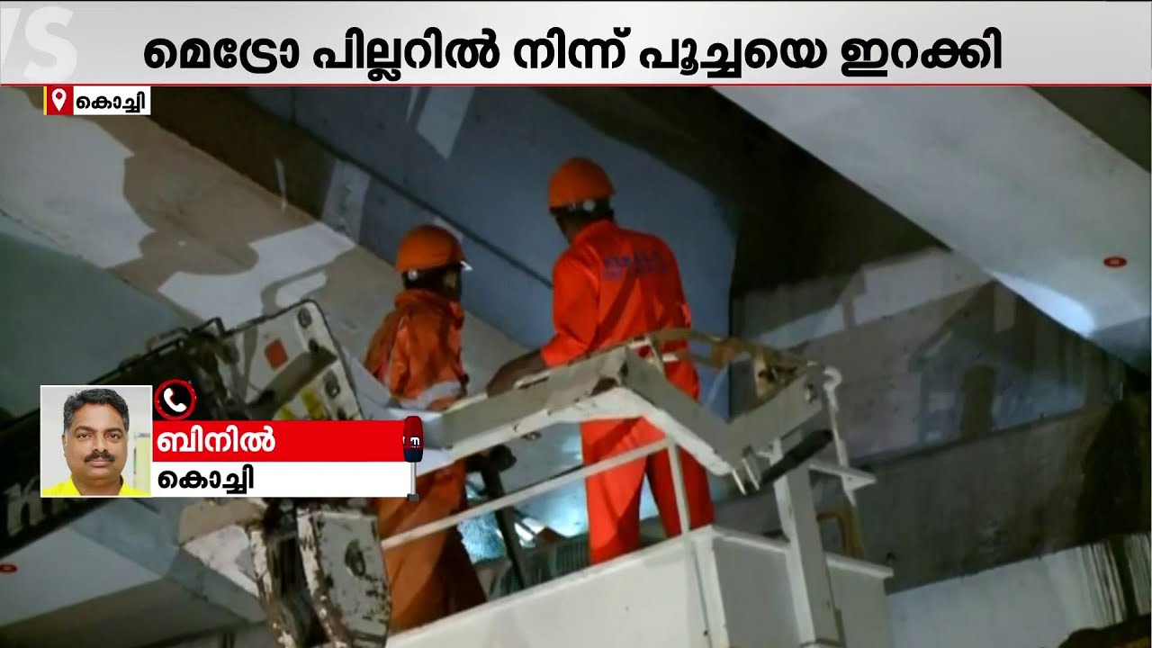 സുഭാഷ് സേഫ്!!! മെട്രോ പില്ലറില്‍ നിന്ന് പൂച്ചയെ രക്ഷിച്ചു | Kochi Metro | Cat Rescue