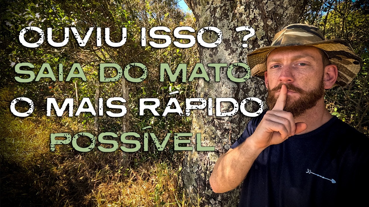 3 Animais que Alertam Sobre Perigos no Mato