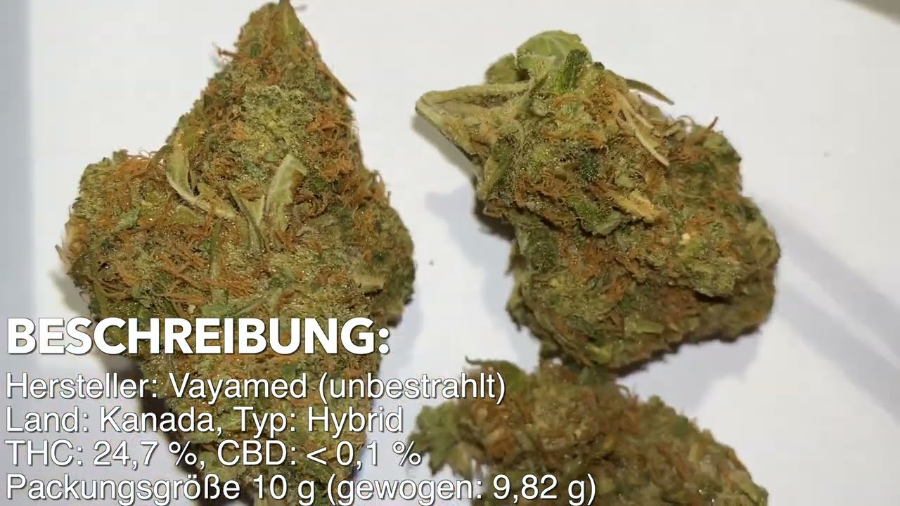 Avaay 26/1 SK (Sour Kush)