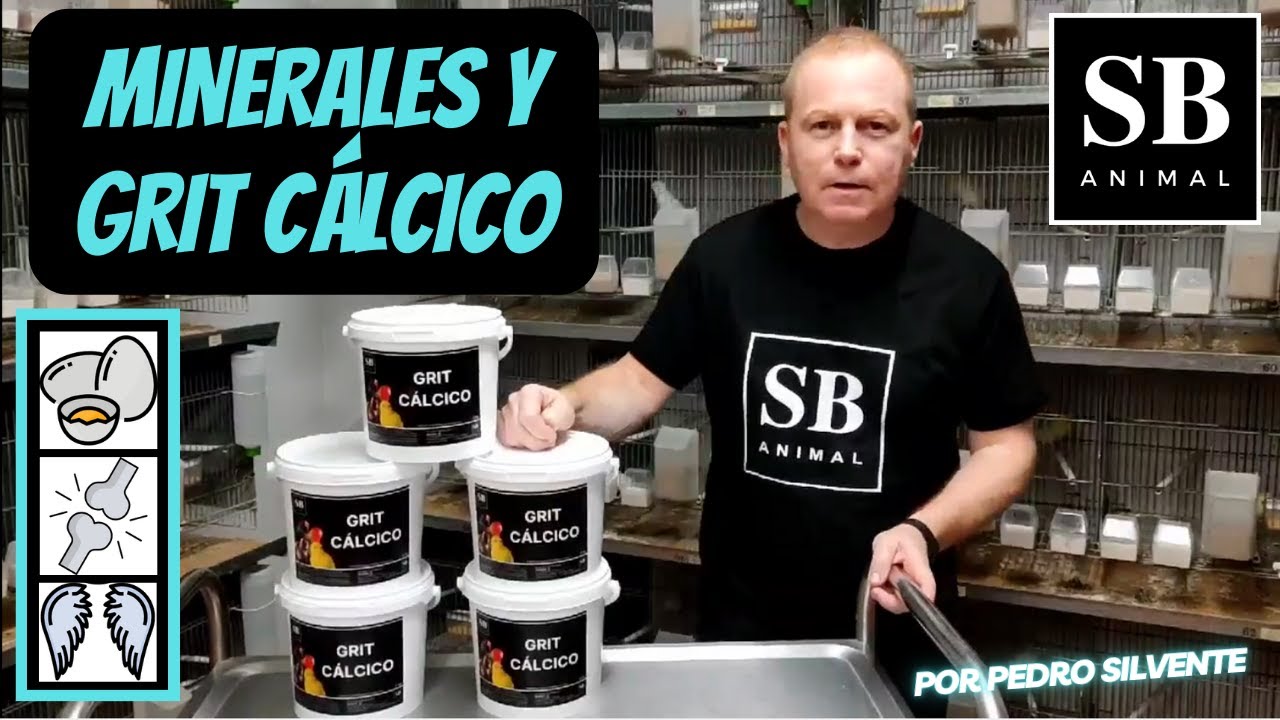 Minerales y Grit Cálcico