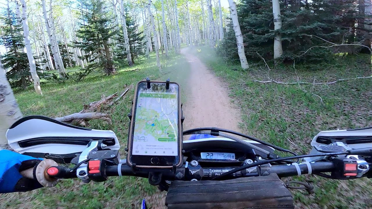 Aspen Single Track On The Uncompahgre Plateau