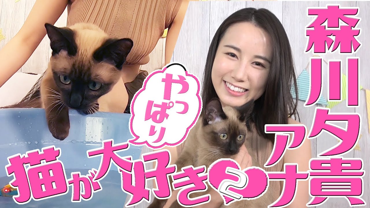 【森川夕貴アナ】飼い主＆オリちゃん大興奮のスーパーネコおもちゃとは!?【やっぱり猫が大好き♡】