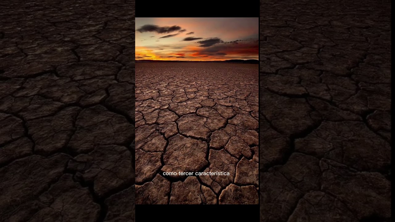 Bioma:Desierto ,2do 5 