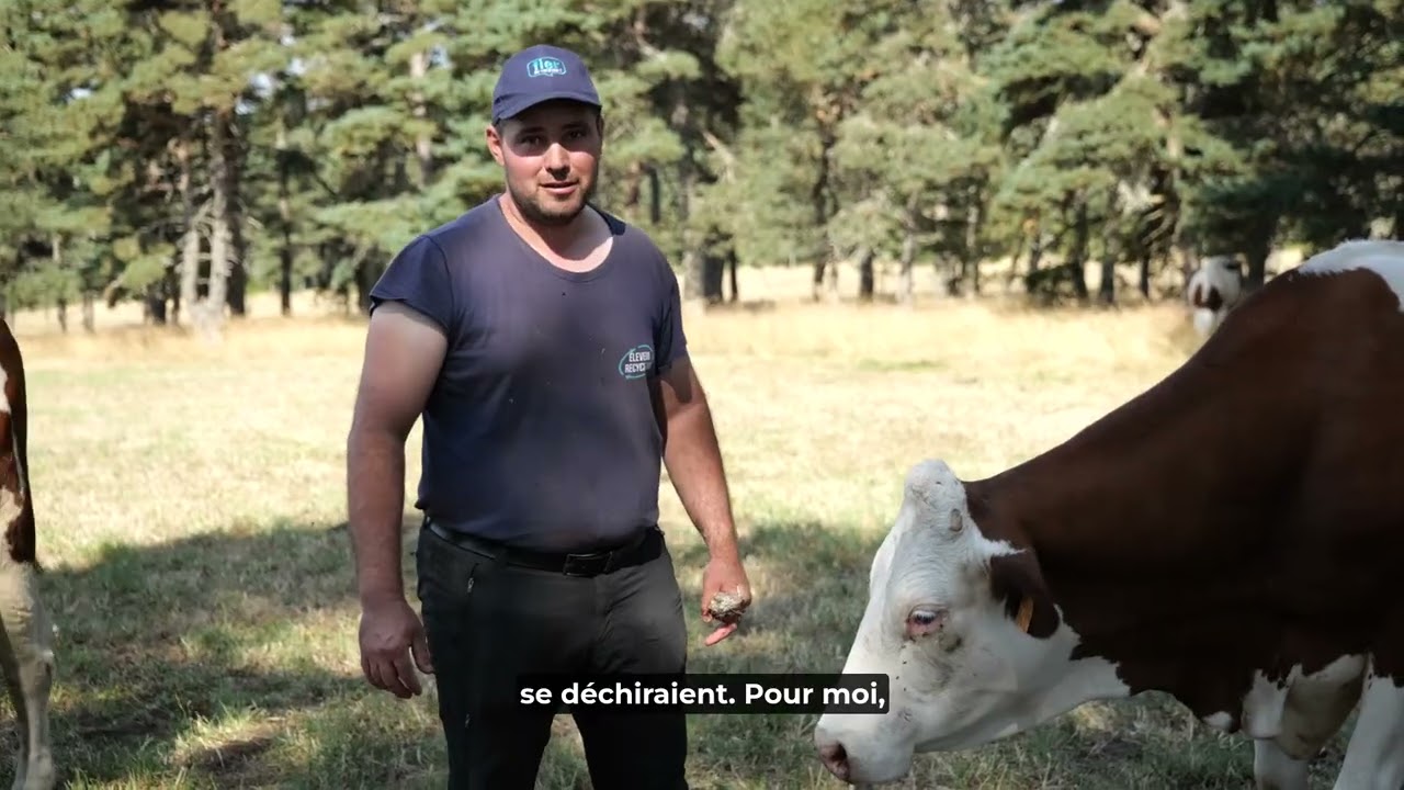 Au Gaec Teissandier : un système de compaction pour les films d'enrubannage usagés