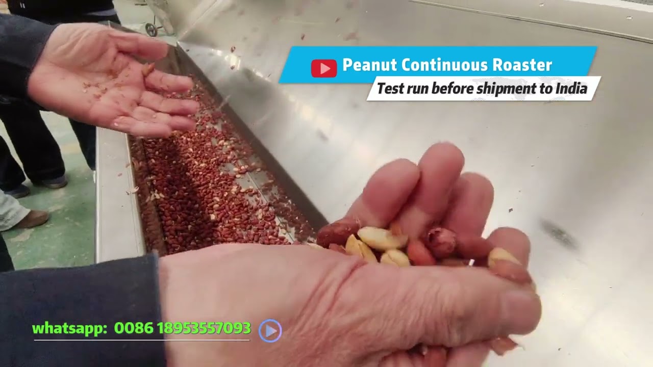Peanut Continuous Roaster: Non-Stop Production & Precise Temp Control #peanutroastingmachine
