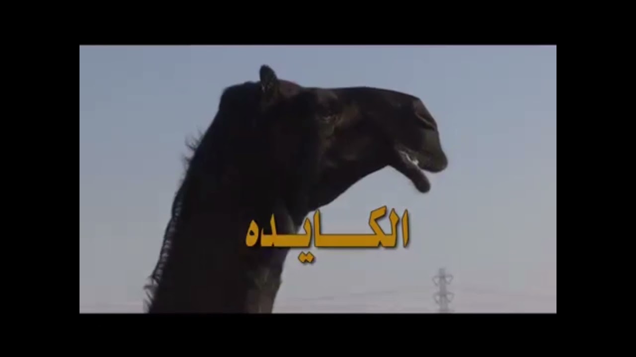 شيله الكايده بطيء