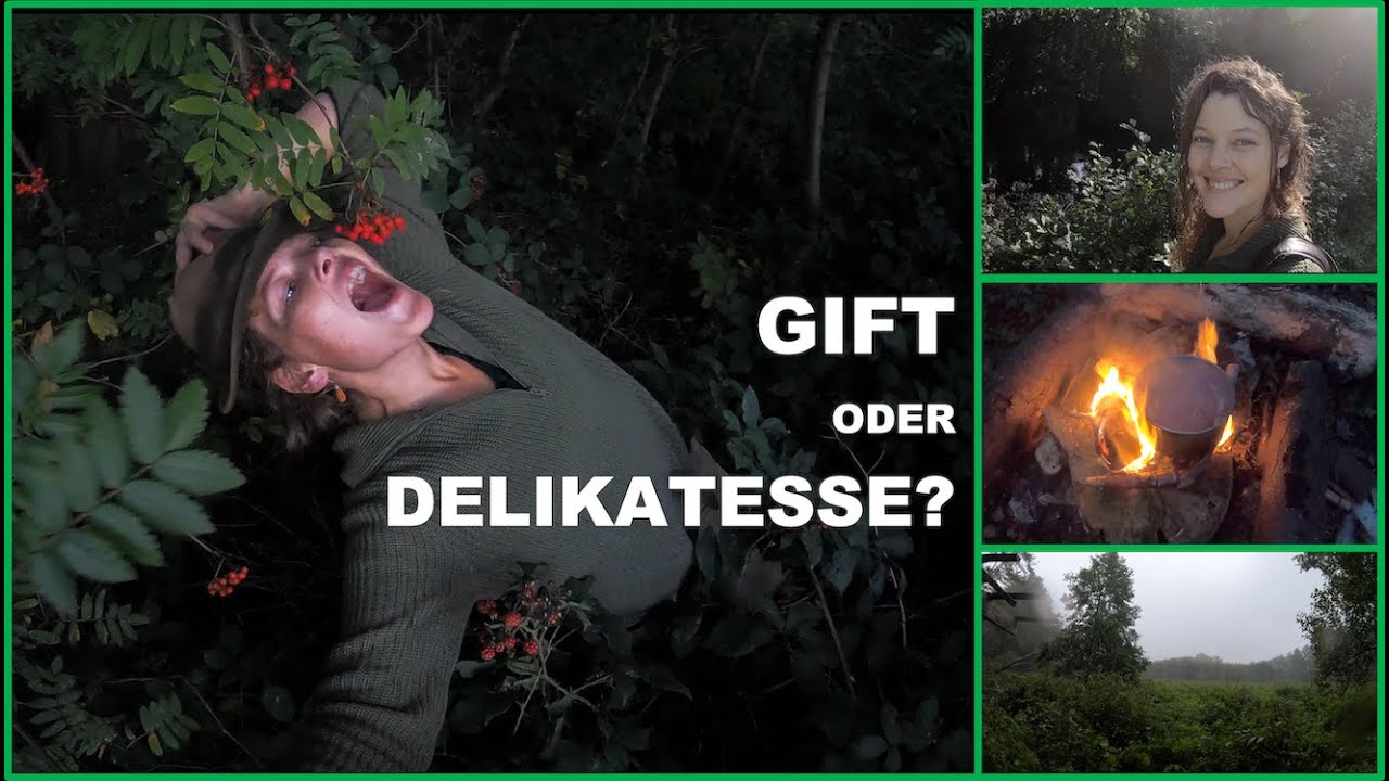 Outdoor . Giftig oder Delikatesse? . Mein erstes Mal . Vogelbeeren . Marmelade
