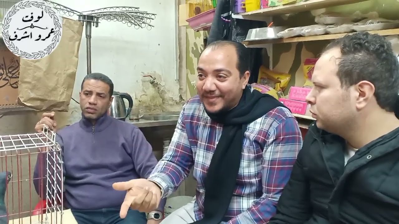 الصالون الثقافى للاستاذ/حماده نبيل مصيلحى#لوفت_عمرو_اشرف