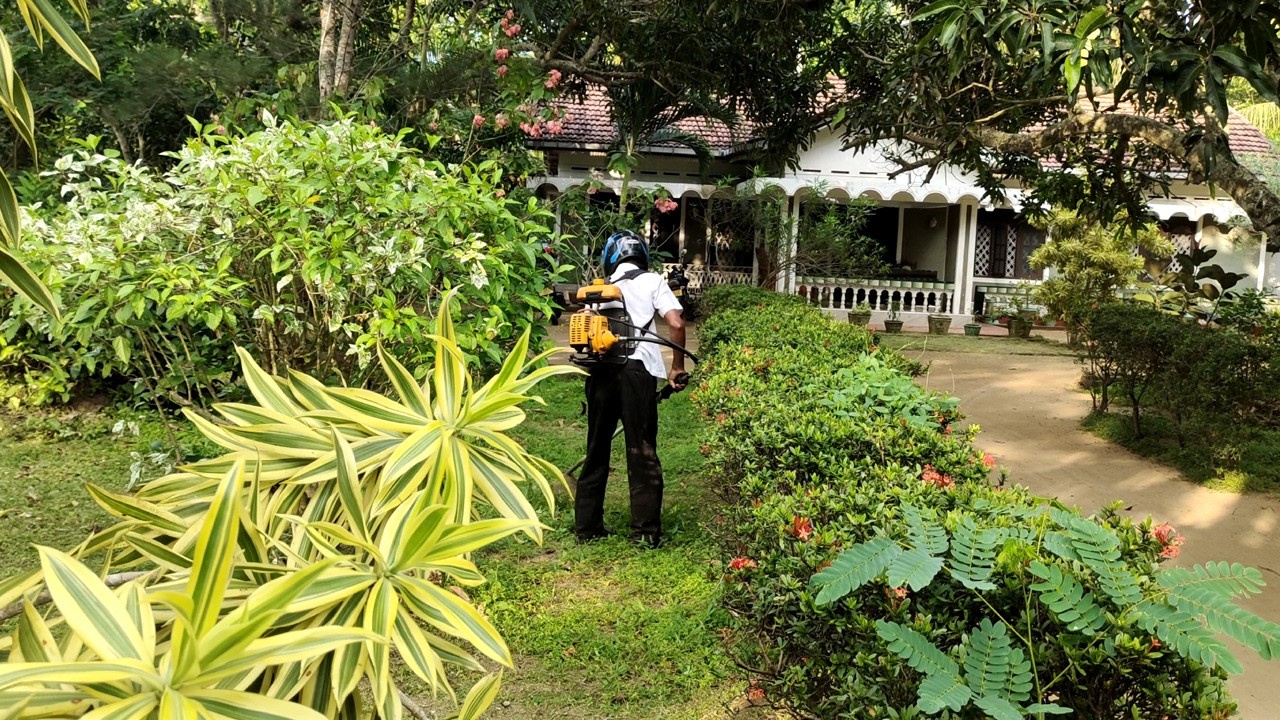 Mowing the lawn in a beautiful garden | Mowing the lawn in a flower garden | garden grass cutting