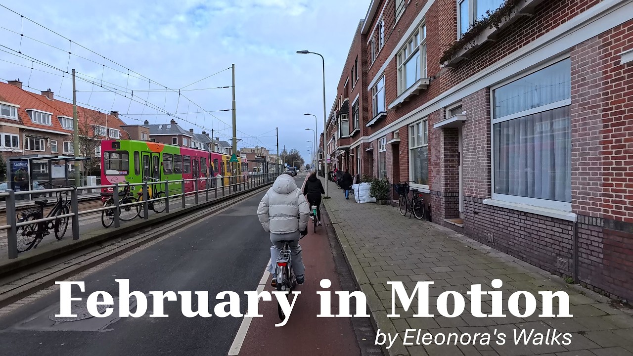 A Cold February Morning — Still Cycling? | The Hague, Netherlands