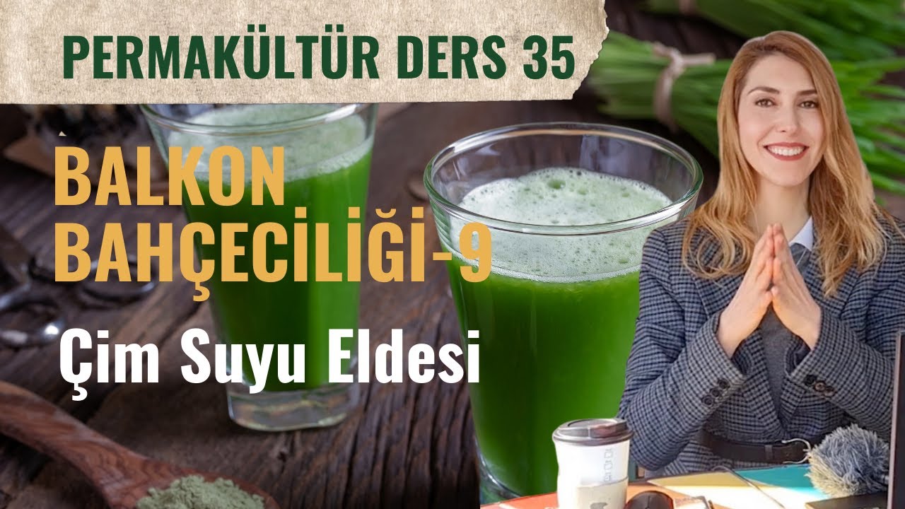 🪴ÜCRETSİZ PERMAKÜLTÜR DERSİ 35 | Balkon Bahçeciliği: Buğday Çimi Ekimi, Bakımı, Buğday Çimi Suyu