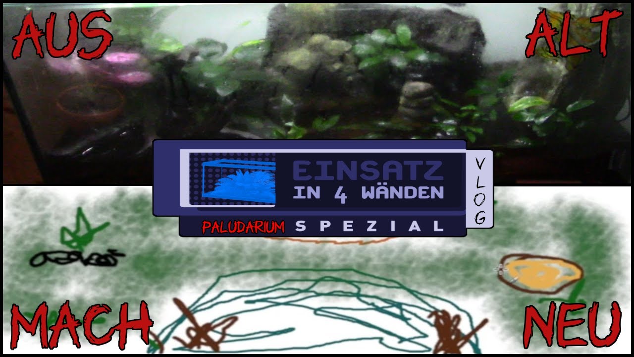 Das Aqua-Terrarium Projekt geht weiter! | meissnto #NewHomeForVampireCrabs #vlog