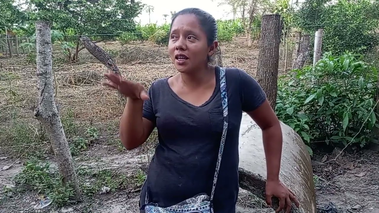 Apollando el proyecto de cushin