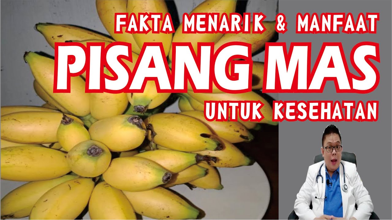 FAKTA MENARIK DAN MANFAAT PISANG MAS UNTUK KESEHATAN