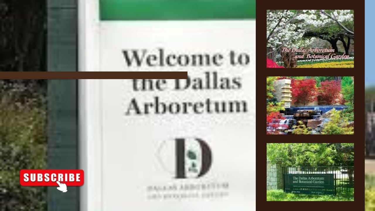 Discovering The Beauty of Dallas Arboretum: A Garden Wonderland, Dallas, Texas