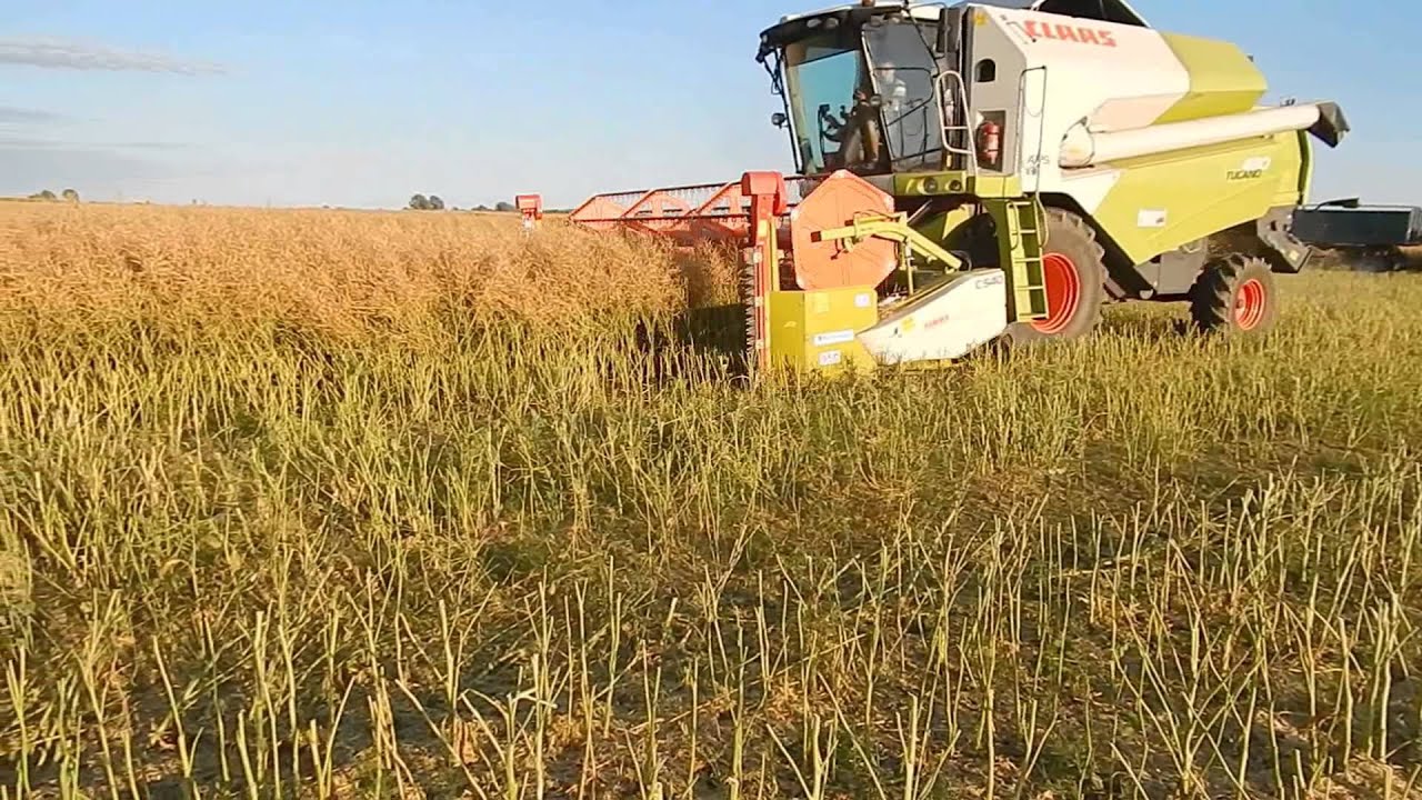Żniwa 2013 - Rzepak - Claas Tucano 430, JD 6930P, JD6330P & JD5720 *Podkarpacie*