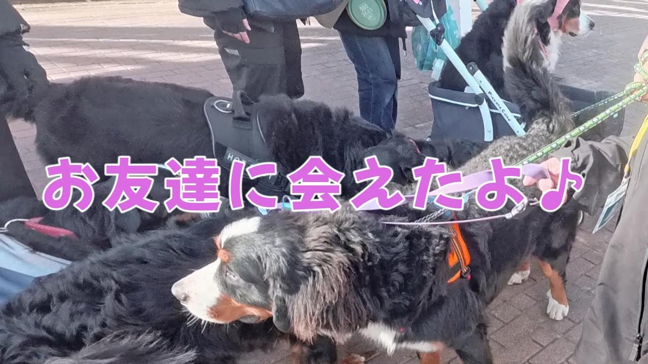 大好きなお友達に会えました！