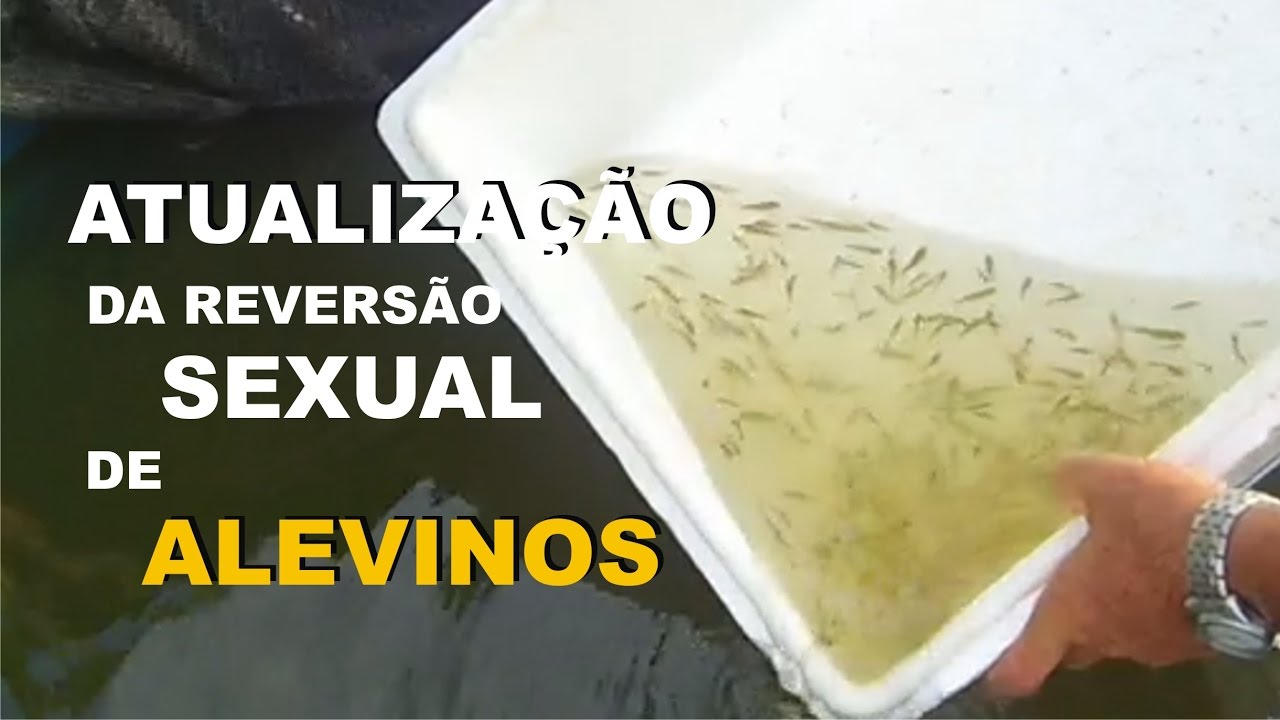 ATUALIZAÇÃO DE REVERSÃO SEXUAL