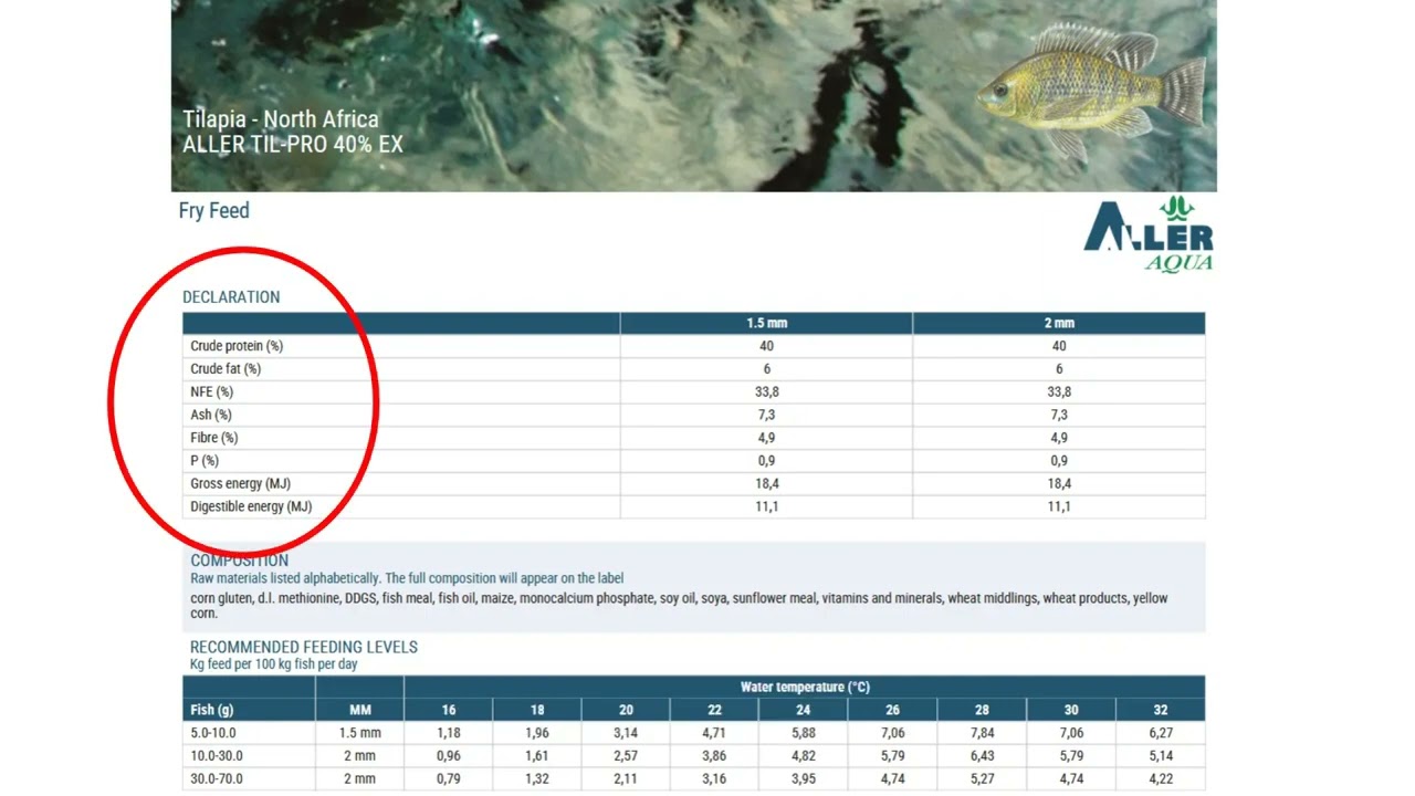 Your guide to using Aller Aqua’s feed programs