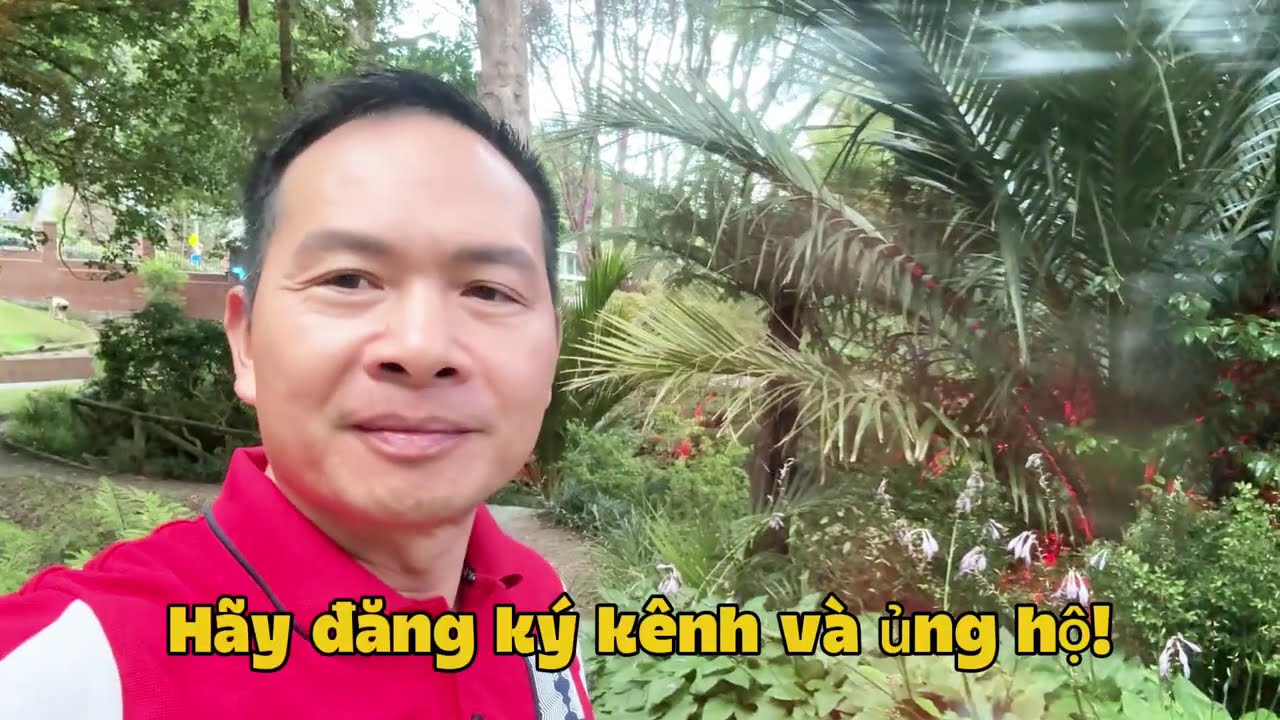 Sang lao động ở New Zealand cần lưu ý điều gì?