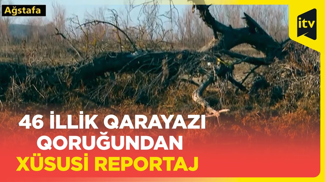 Tuqay meşələrinin böyük hissəsinin yerləşdiyi Qarayazı Dövlət Təbiət Qoruğu