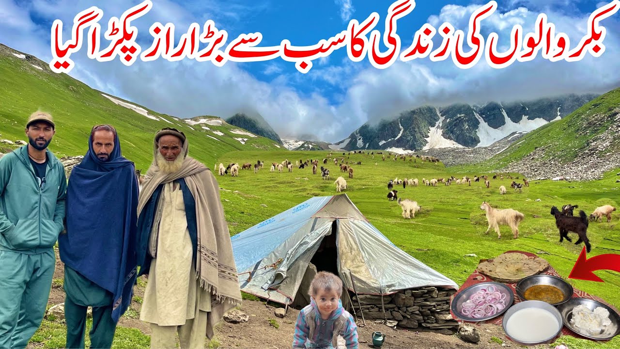 Bakarwals Life Biggest Secret Revealed | EP 5 | Journey To Northern Pakistan 🇵🇰