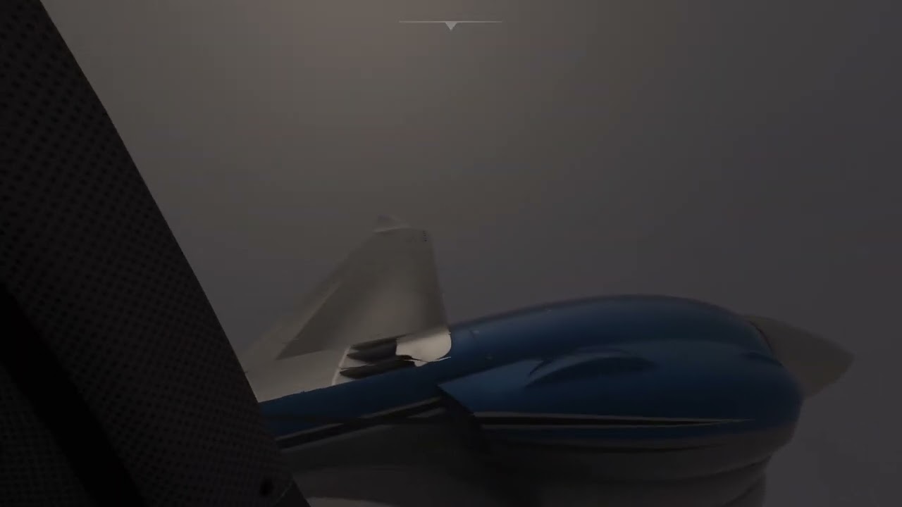 MSFS2020 flight