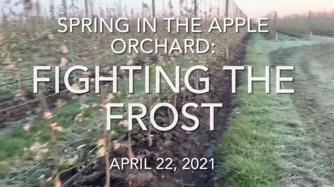 Fighting the Frost