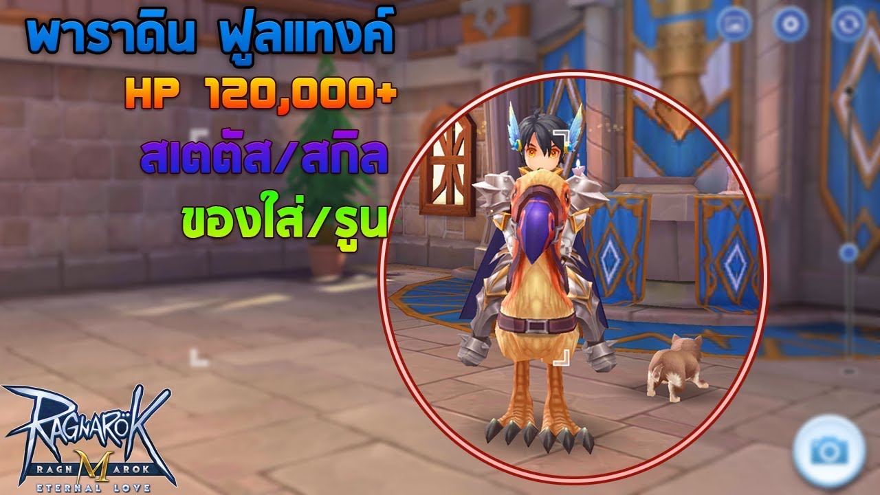 พาราดิน ฟูลแทงค์ เลือด 120,000+ (Paladin Full Tank) - Ragnarok M Eternal Love