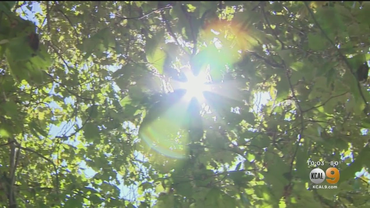 Much Of SoCal Is Under An Excessive Heat Warning That Meteorologists Say Has Yet To Peak