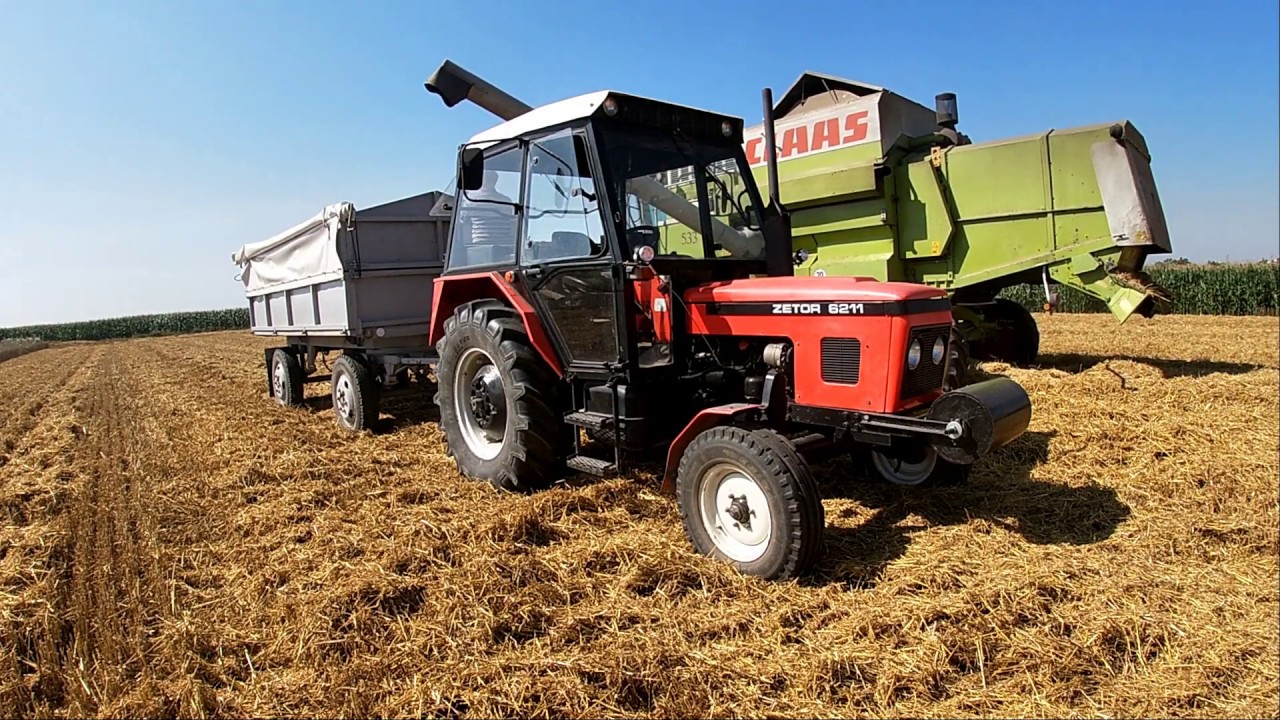✔Pszenica 2019✔CLAAS Mega 218✔8ton z ha✔