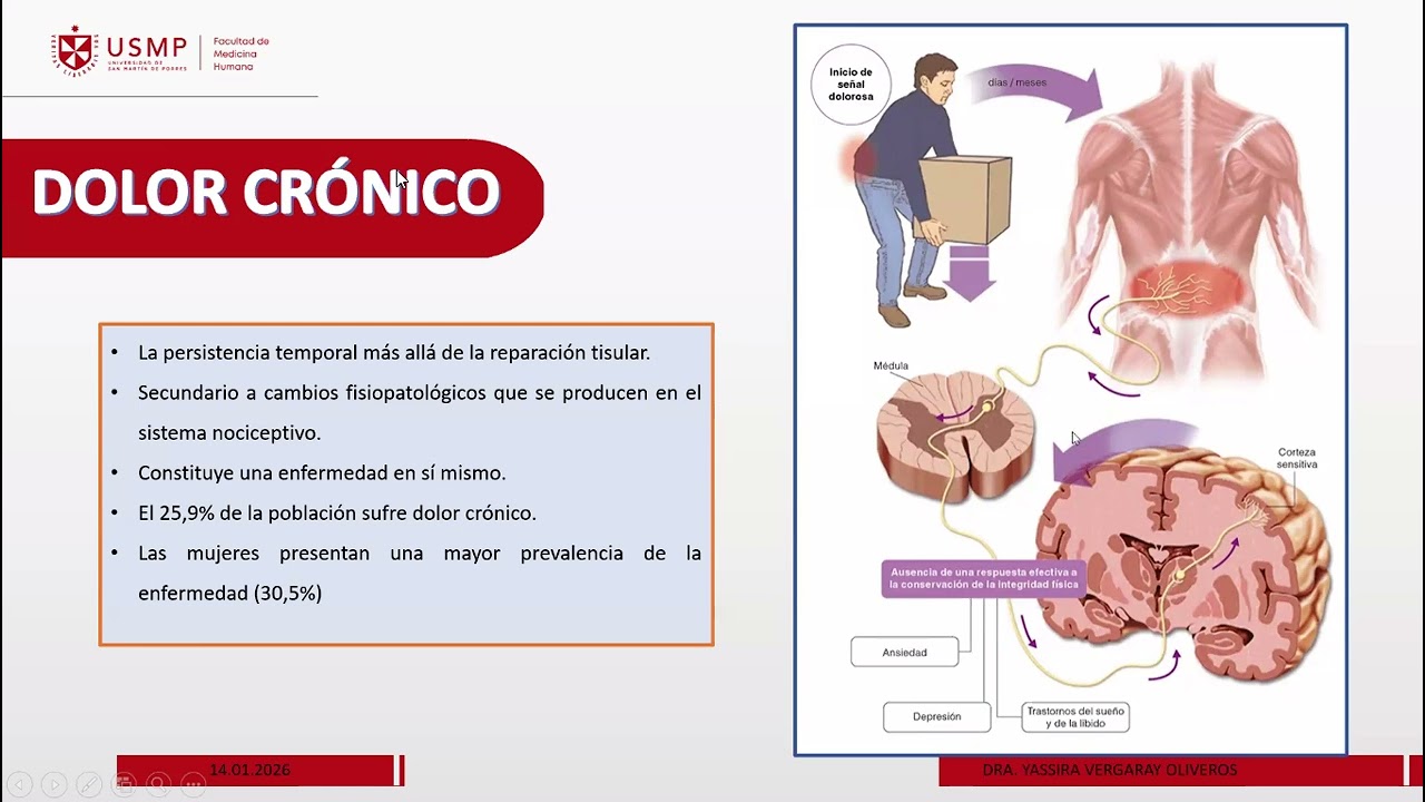 CLASE 3.1 - MED FISICA - REAHABILITACIÓN EN DOLOR
