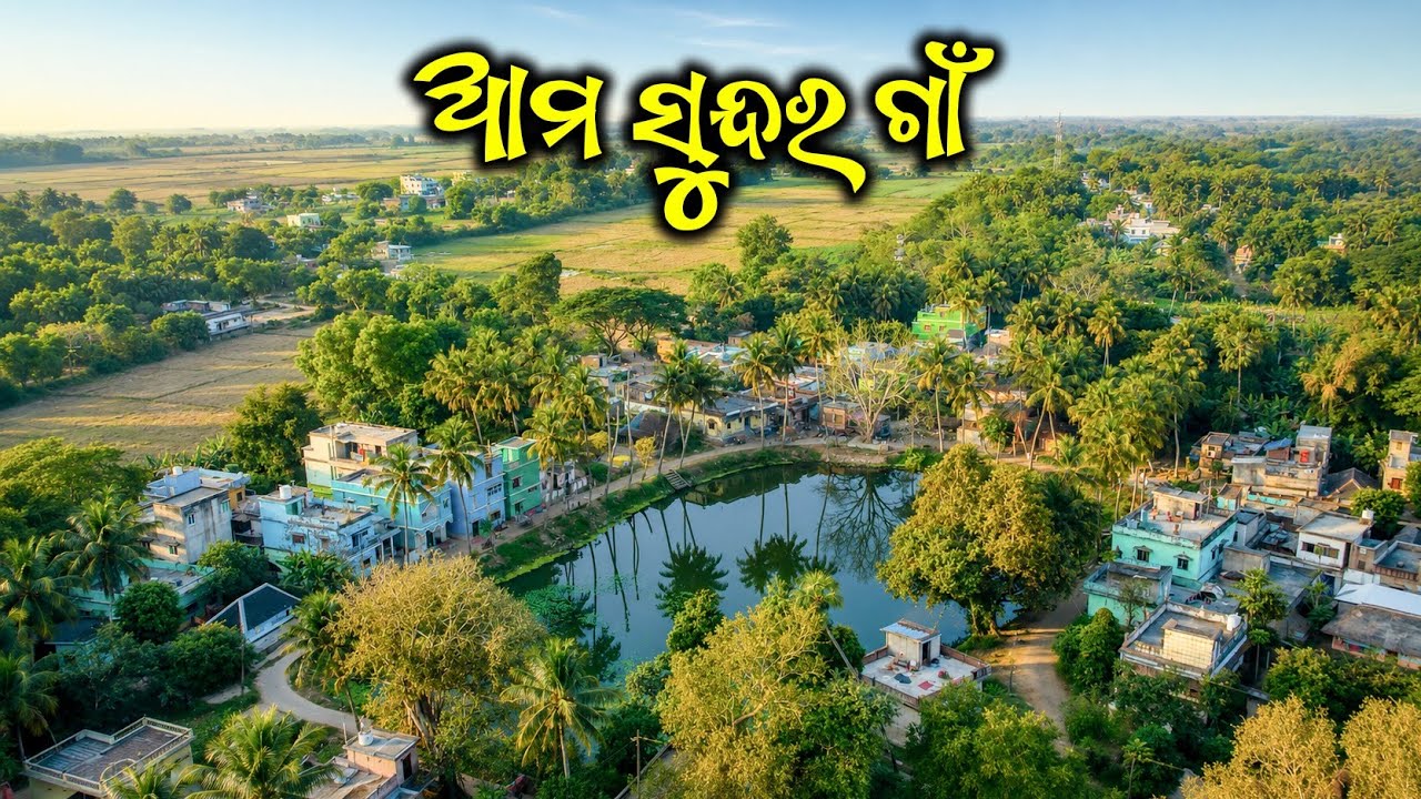 ଆମ ଗାଁ | Village Life in Odisha | Real Rural Life