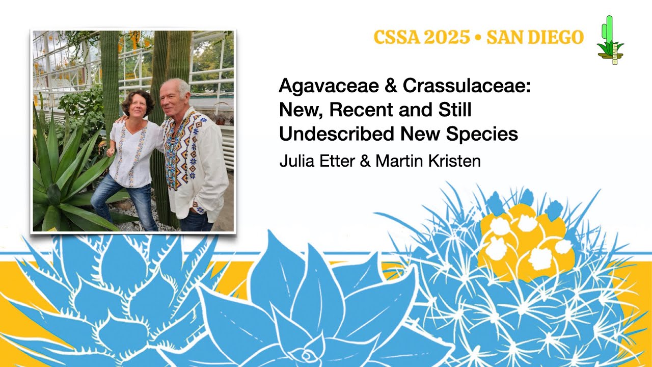 Agavaceae and Crassulaceae: New, Recent and Undescribed Species – Julia Etter & Martin Kristen