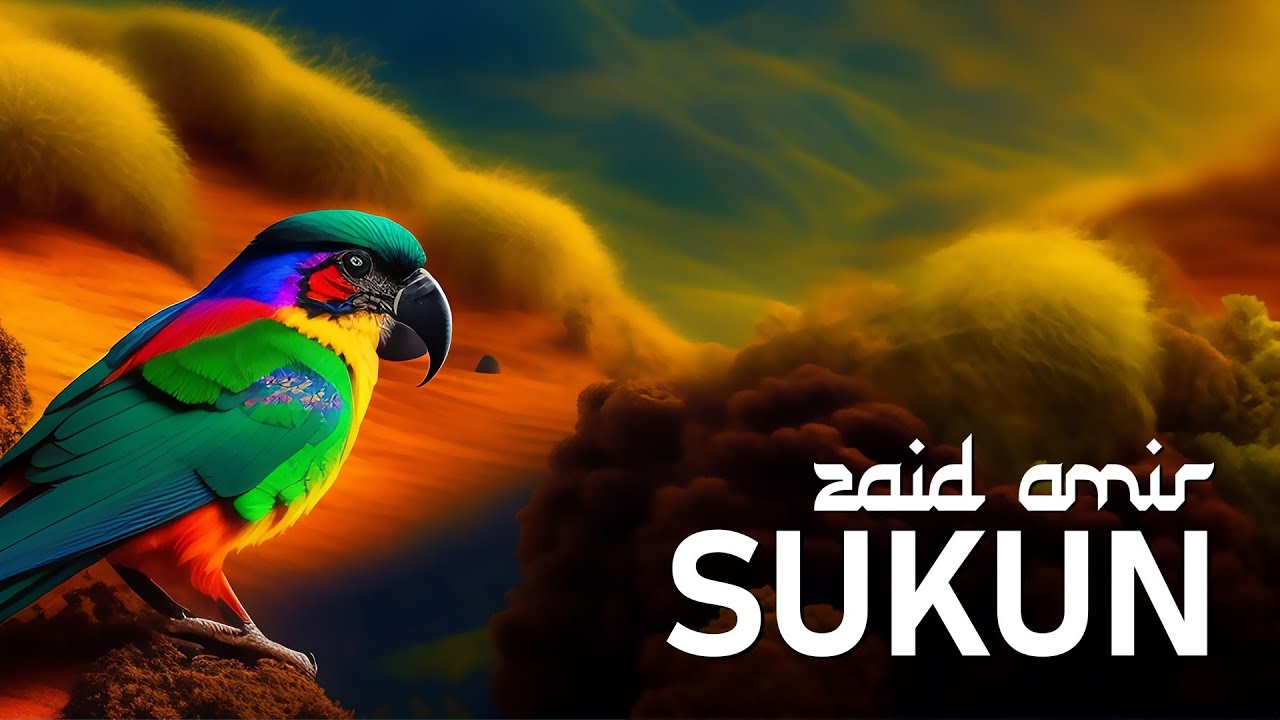 Zaid Amir - Sukun (2024)