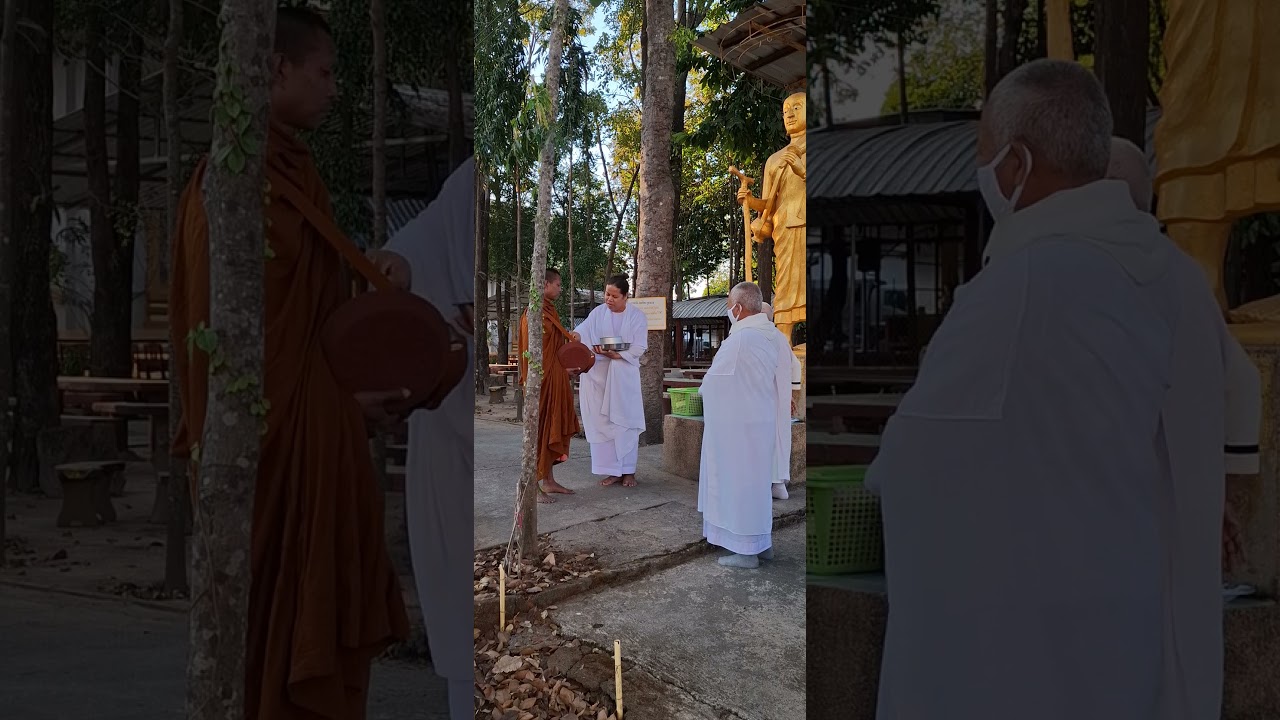 Alms at Dawn: The Sacred Bond of Faith in Simple Living