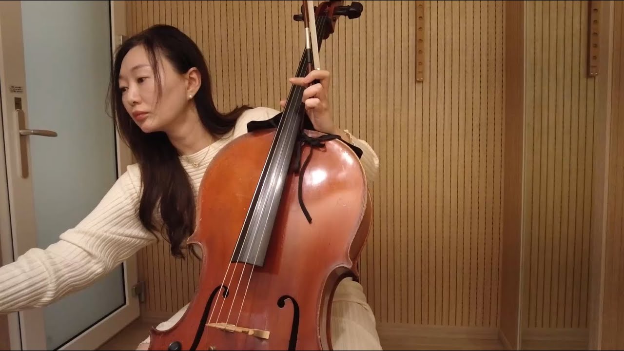 [non-professional] Schumann - Fantastische stücke Op.73, 취미첼로