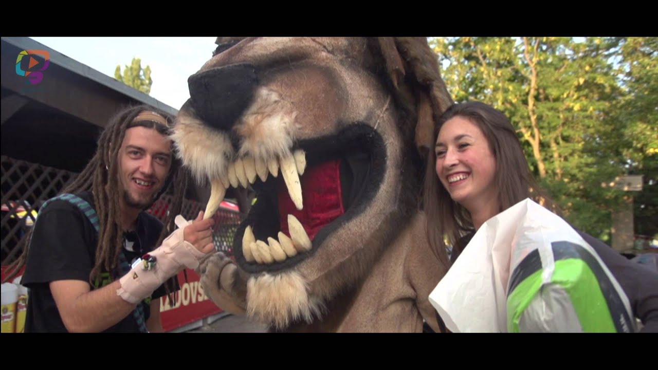 UPRISING REGGAE FESTIVAL 2014 (Official GluuuTV Documentary)