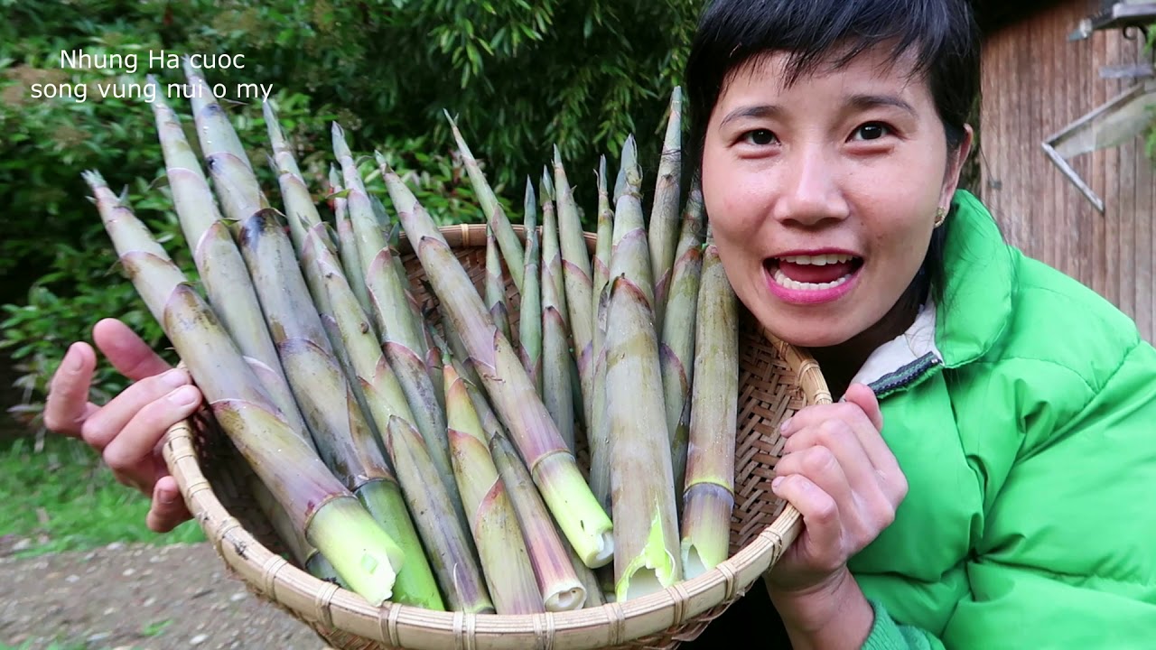 HÁI MĂNG LE , ĐƯỢC CẢ RỔ  QUÁ XÁ LÀ VUI
